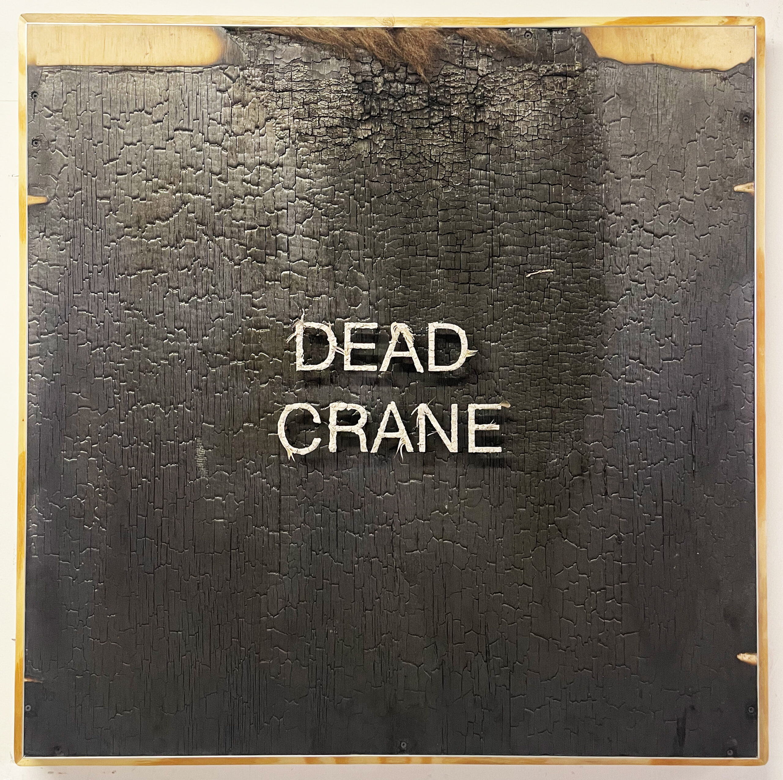 DEAD CRANE